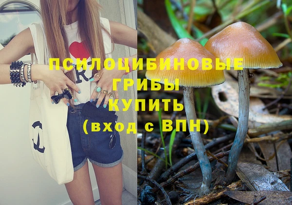 молекула духа Остров