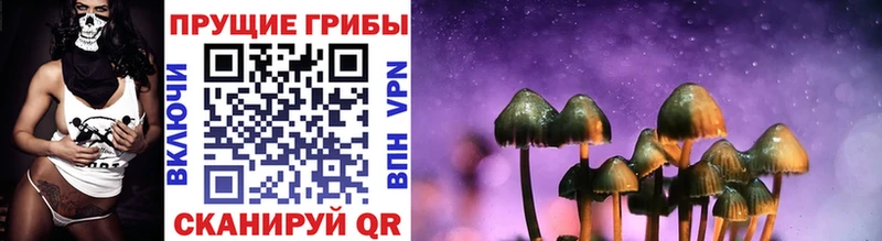 Псилоцибиновые грибы MAGIC MUSHROOMS  закладки  Шилка 