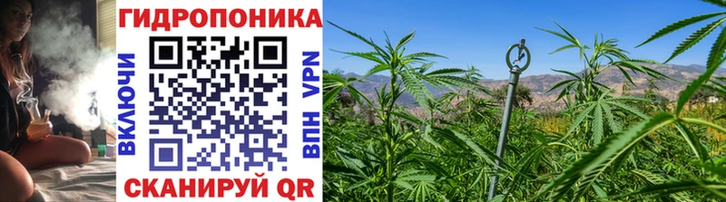 даркнет сайт  Шилка  Марихуана SATIVA & INDICA 